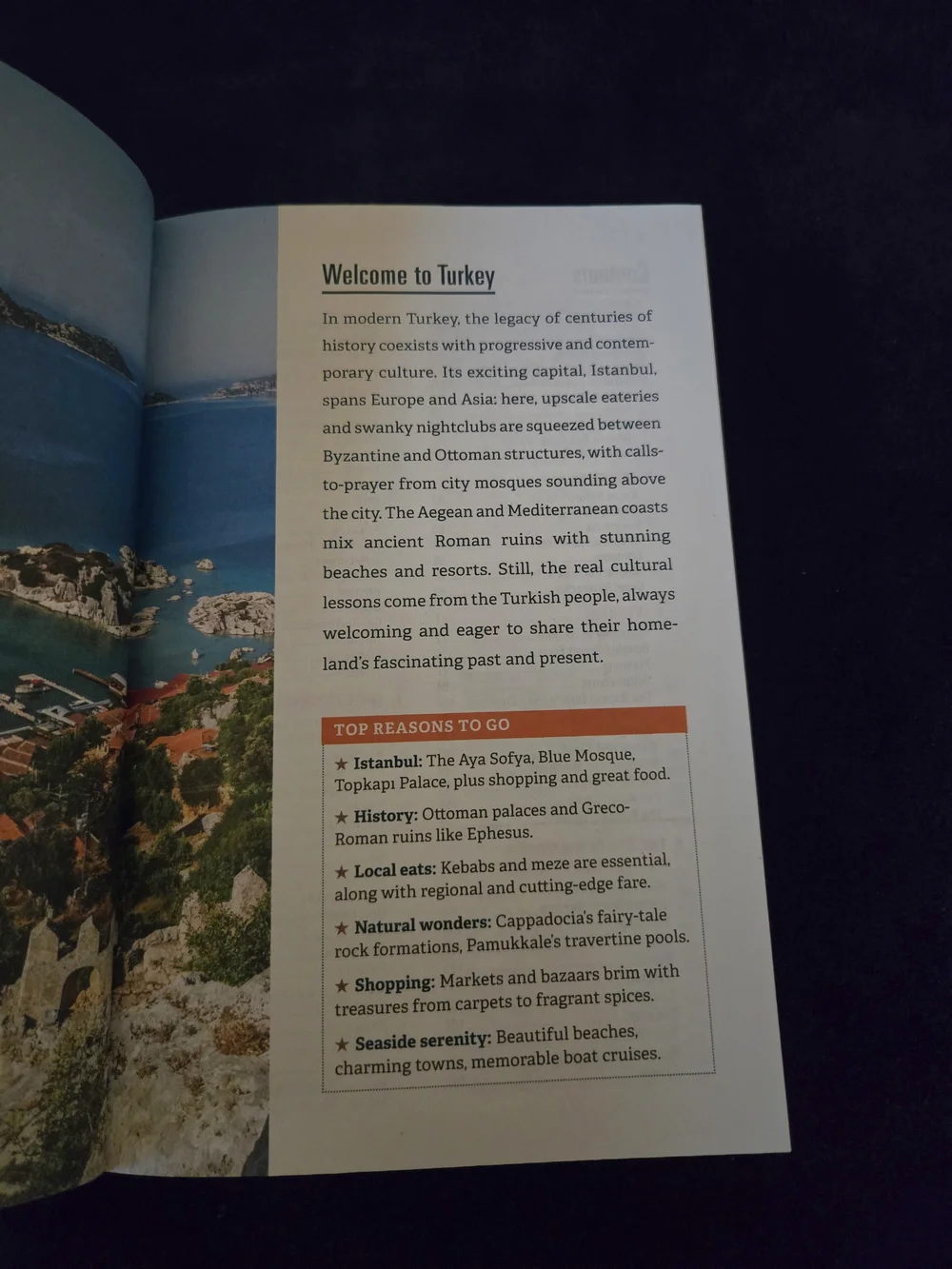 Essential Turkey Book - Blue Cover